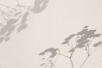 Branch shadow on white textured wall
