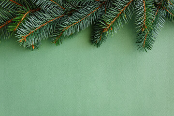 Christmas background concept. Christmas tree branches.