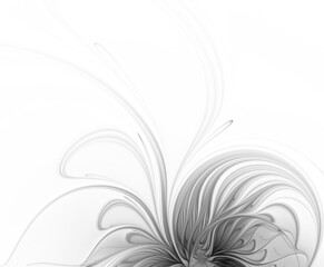 Black and white fractal flower
