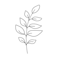 Leaves set. Isolated hand drawn illustration, doodles style on white background