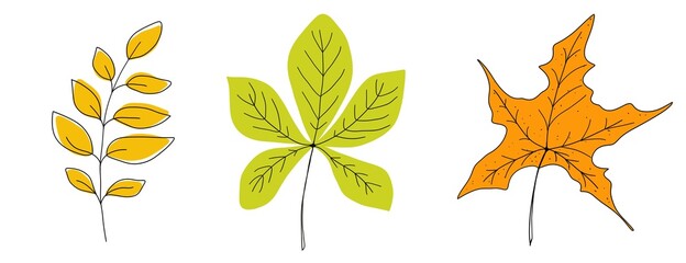 Obraz premium Leaves set. Isolated hand drawn illustration, doodles style on white background