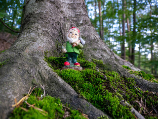 the gnome with his ax in the forest