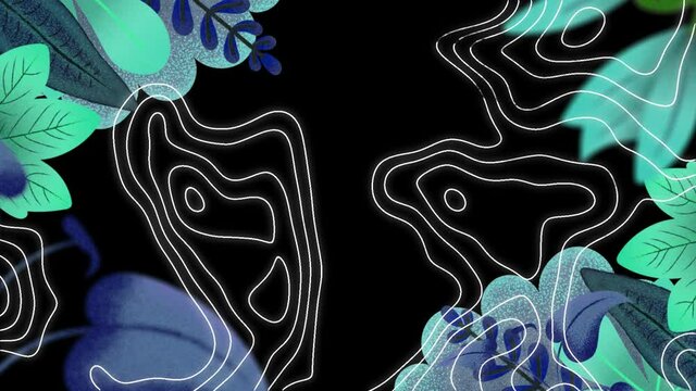 Animation of colorful leaves and isohypses on black background