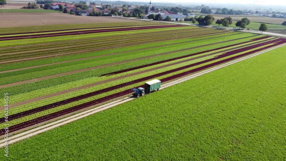 Poster an agricultural area with cultivated fields