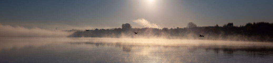 Panorama of the river in the morning fog. A seagull flying over the river