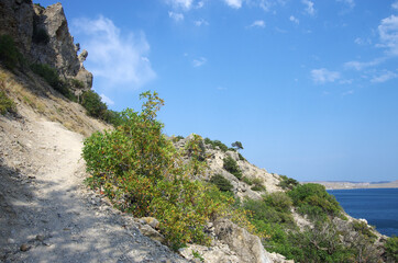 View from the Cape Alchak in Crimea