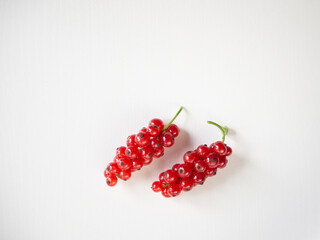 Single red currant on white background