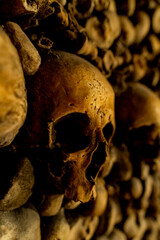 Skulls in the catacombs