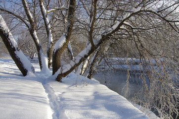 MOSCOW, RUSSIA - January, 2021: Winter park in Moscow. North Medvedkovo