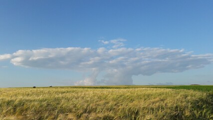 A boat in the sky and above a wheat field.