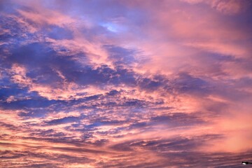 Obraz premium Cloudly sky. Sunset. No filter