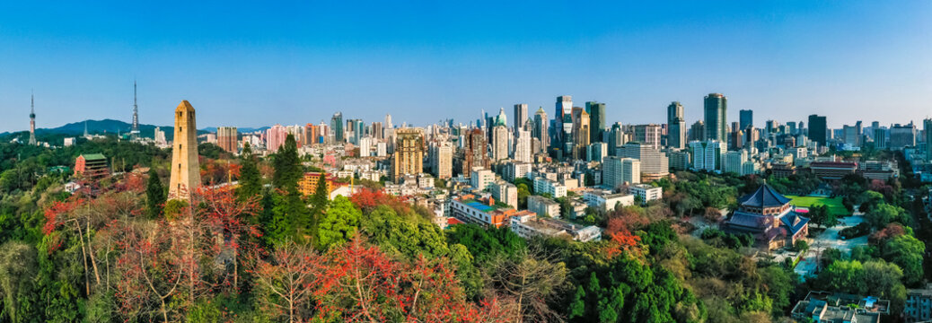Kapok flower blooming in guangzhou, guangdong province scenery
