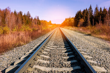 A single track railway in a forest belt. An industrial landscape with a railway. Perspective, the...