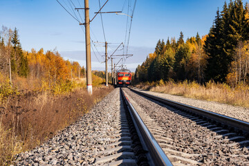 A red-coloured electric train runs along the railway in a forest belt.