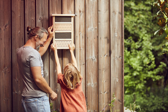 Father and daughter hanging insect hotel on wall