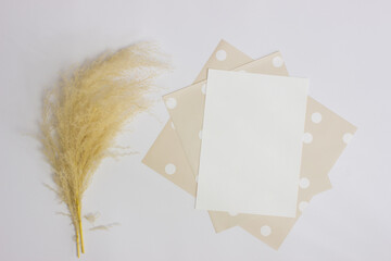 A white paper with organic flower over the white table.