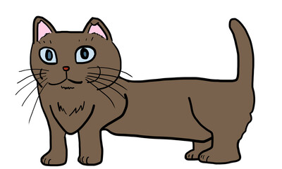 猫　胴長　茶色猫
