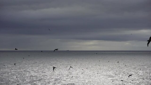 Offshore fishing area in cloudy weather. A silhouette of a fishing vessel catches fish in cloudy weather at sea.