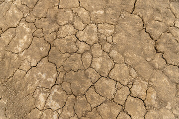 dry cracked earth