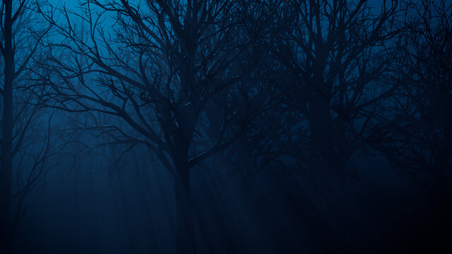 Halloween Trees with shafts of Moonlight shining through the Branches.