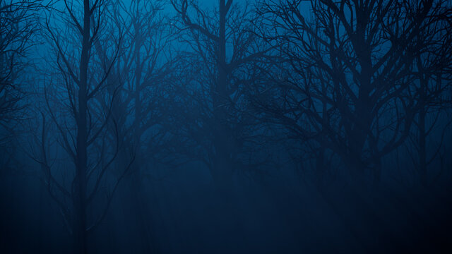 Halloween Illustration with Ghostly Moonlit Trees.
