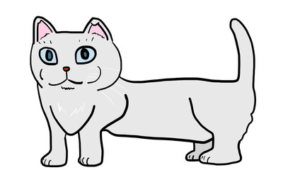 猫　イラスト　白猫　胴長