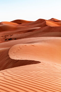 Sultanate Of Oman, Wahiba Sands, dunes in the desert