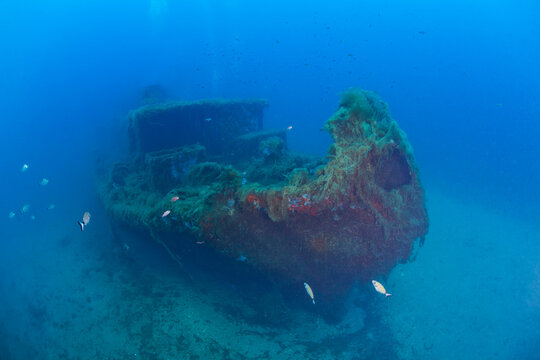 France, Corsica, Underwater view of&Ocirc;&oslash;&Omega;Alcione&Ocirc;&oslash;&Omega;C shipwreck - Italian tanker shelled and sunk during World War II