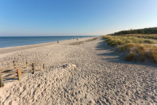 Germany, Mecklenburg-Western Pomerania, Prerow, Sandy coastal beach of Baltic Sea