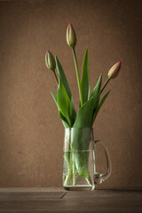 Tulip buds in a glass vase with a beige background.
