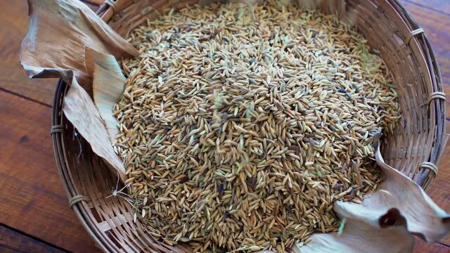 Brown rice on a plate paddy
