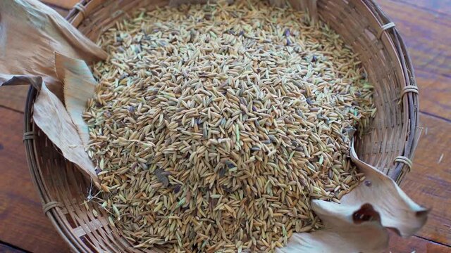 Brown rice on a plate