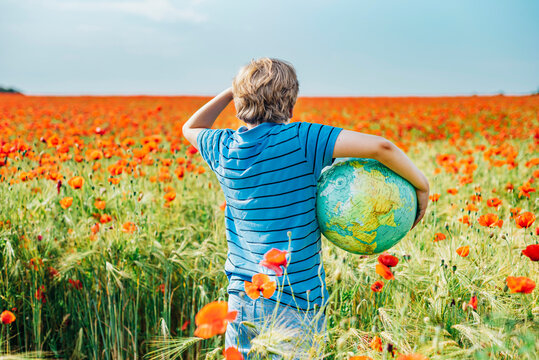 Rear view of boy holding globe in poppy field on sunny day