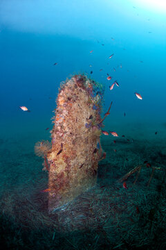 Wrack of North American B25 Mitchell, cannon, Corsica