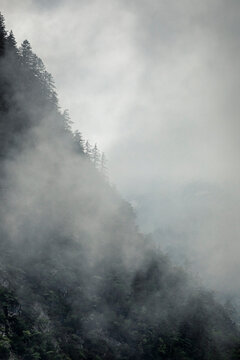 Clouds covering forested mountain