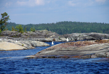 Ladoga skerries on Lake Ladoga in Karelia, Russia