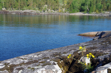 Ladoga skerries on Lake Ladoga in Karelia, Russia