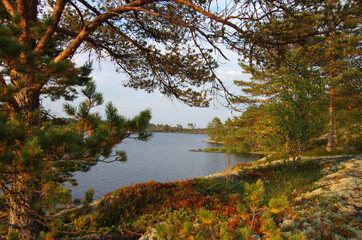 Ladoga skerries on Lake Ladoga in Karelia, Russia