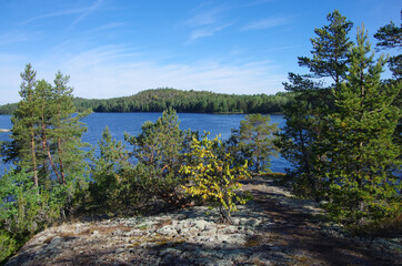 Ladoga skerries on Lake Ladoga in Karelia, Russia