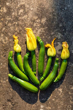 Fresh ripe zucchinis