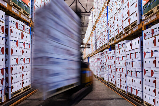 Moving forklift in factory hall loading boxes