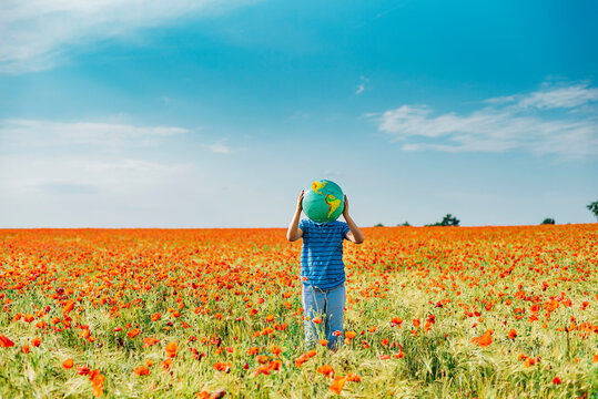 Pre-adolescent boy holding globe while standing in poppy field against blue sky