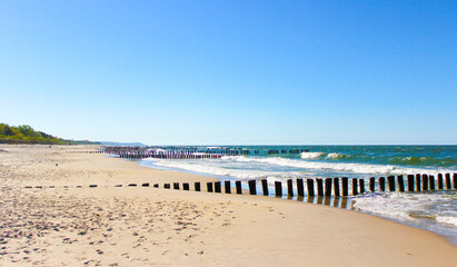 beach in summer