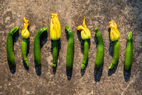 Row of fresh ripe zucchinis