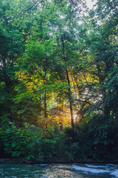 Germany, Bavaria, Munich, Bank of Eisbach in English Garden