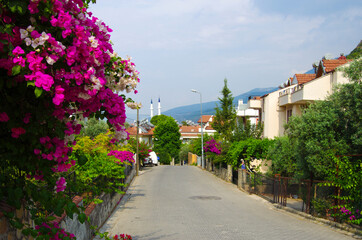 FETHIYE, TURKEY - June, 2019: View of the street  of the city in summer day