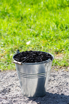 Germany, Metal bucket with charcoal fertilizer