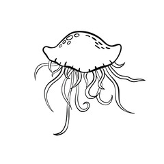 Black outline vector doodle cartoon jellyfish . Vector illustration