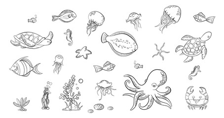 Big set of hand drawn doodle tropical fishes. Black outlines seaworld . Turtle, octopus, jelly fishes, starfish