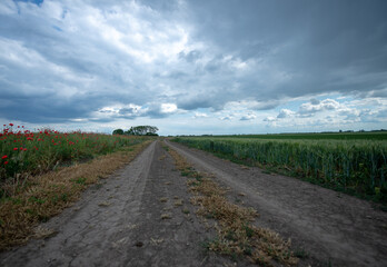 Peaceful green field in Hungary
